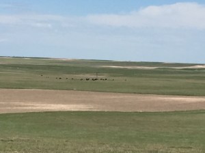 Panorama Point Nebraska