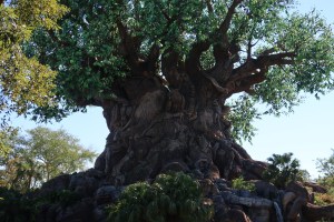 Animal Kingdom