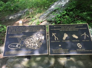 Track Rock Gap Petroglyph Site