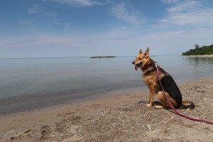 Presque Isle State Park