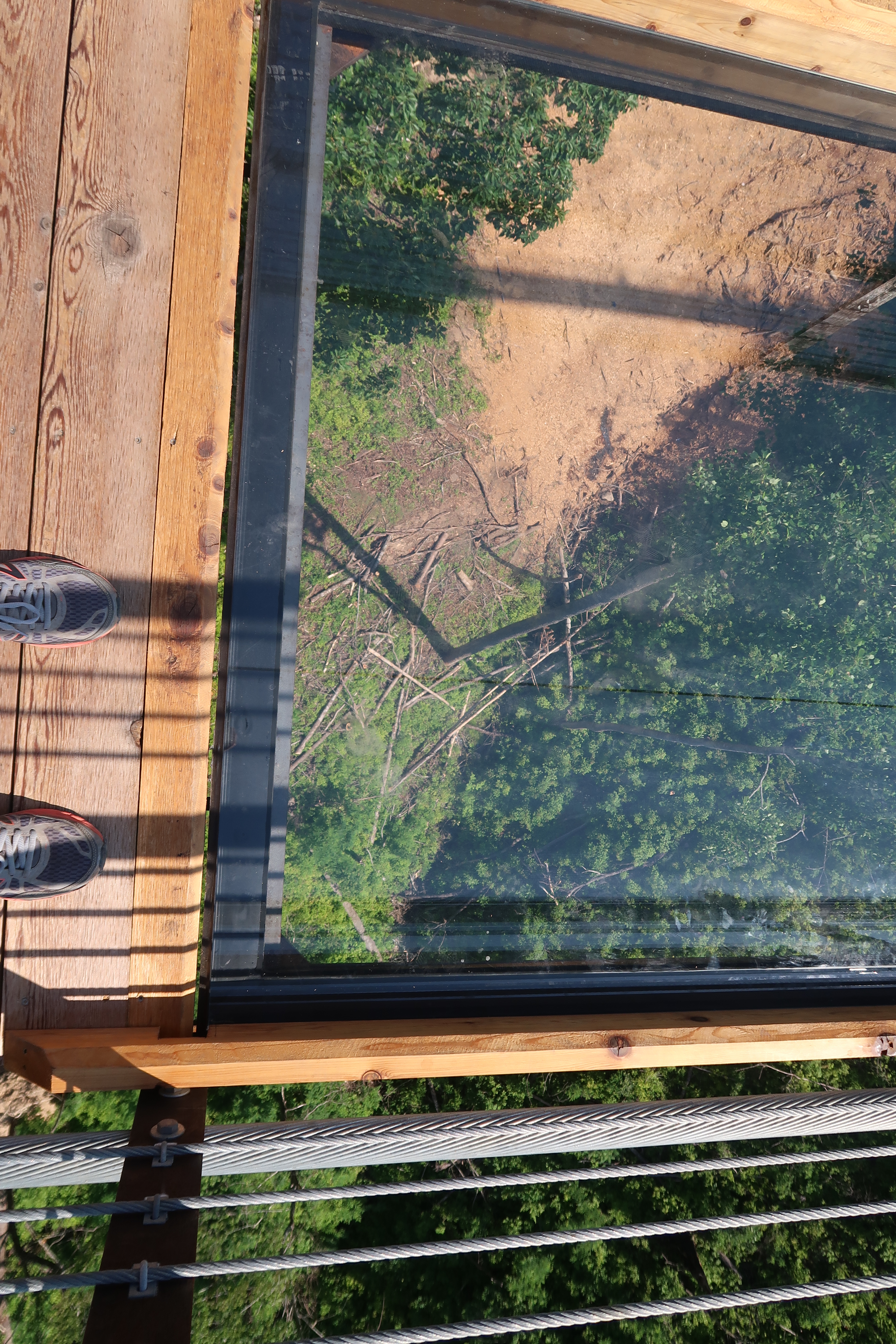 SkyBridge Gatlinburg TN