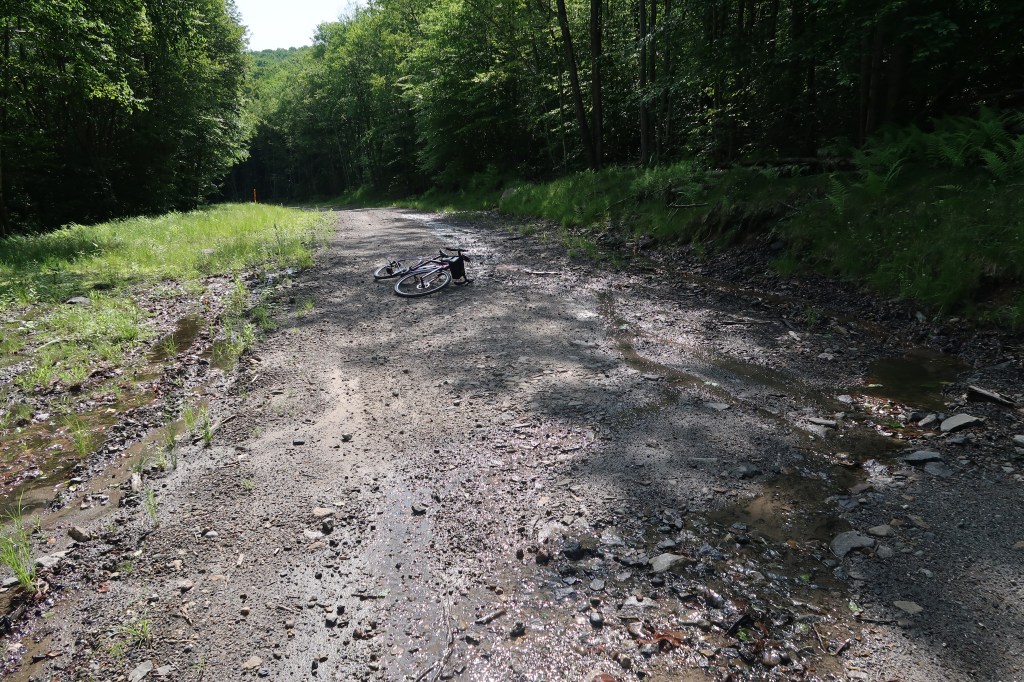 Lackawanna River Heritage Trail